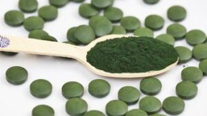 organic_algae