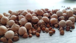 vegan-protein